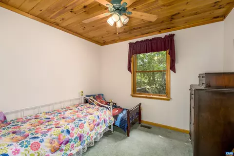 38 Edgewater Dr, Palmyra, VA 22963 photo 28