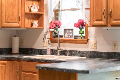 38 Edgewater Dr, Palmyra, VA 22963 photo 16