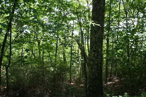 43 High Vly S, Monterey, VA 24465
