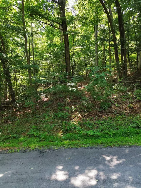 tbd Willow Ln, Mount Jackson, VA 22842 photo 2