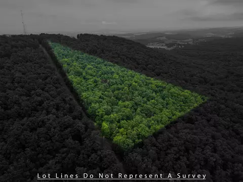0 Tower Mountain Ln, Mount Jackson, VA 22842 photo 8