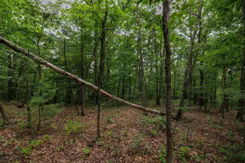 0 Tower Mountain Ln, Mount Jackson, VA 22842 photo 3