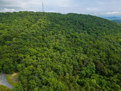 0 Tower Mountain Ln, Mount Jackson, VA 22842 photo 17