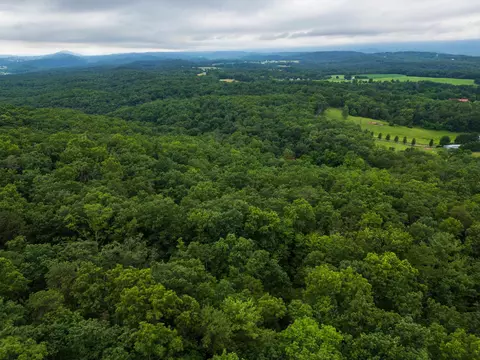 0 Tower Mountain Ln, Mount Jackson, VA 22842 photo 14