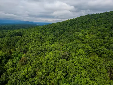 0 Tower Mountain Ln, Mount Jackson, VA 22842 photo 20