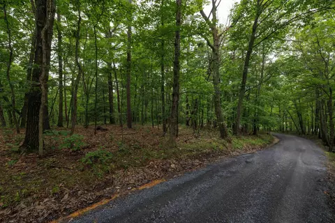 0 Tower Mountain Ln, Mount Jackson, VA 22842 photo 2