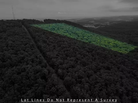 0 Tower Mountain Ln, Mount Jackson, VA 22842 photo 9