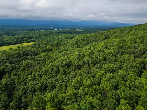 0 Tower Mountain Ln, Mount Jackson, VA 22842 photo 13