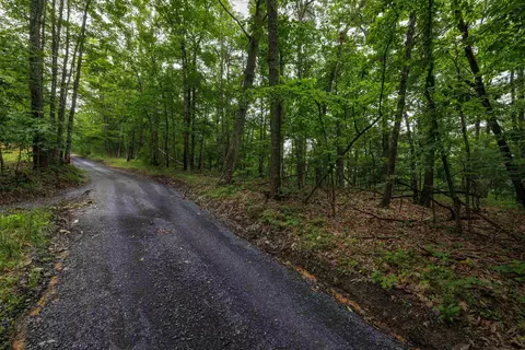 0 Tower Mountain Ln, Mount Jackson, VA 22842