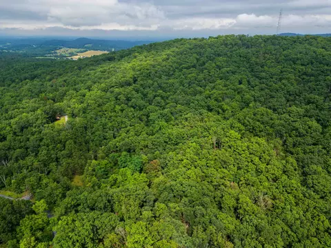 0 Tower Mountain Ln, Mount Jackson, VA 22842 photo 19