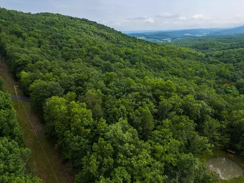 0 Tower Mountain Ln, Mount Jackson, VA 22842 photo 15