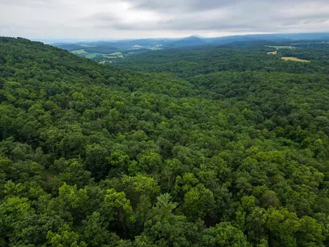 0 Tower Mountain Ln, Mount Jackson, VA 22842 photo 12