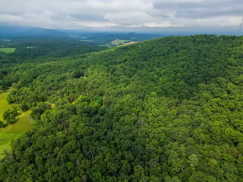 0 Tower Mountain Ln, Mount Jackson, VA 22842 photo 21