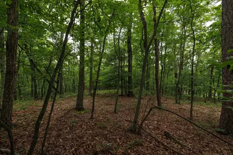 0 Tower Mountain Ln, Mount Jackson, VA 22842 photo 5