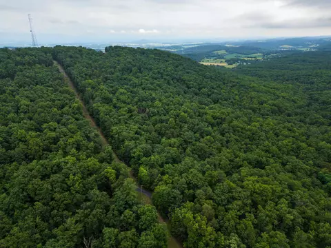 0 Tower Mountain Ln, Mount Jackson, VA 22842 photo 11