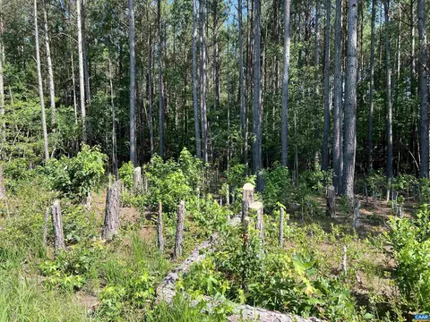 lot6 Richmond Rd, Amelia Court House, VA 23002