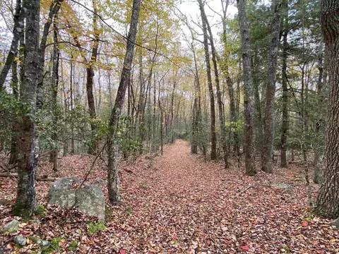 tbd Halterman Hollow Ln, Monterey, VA 24465