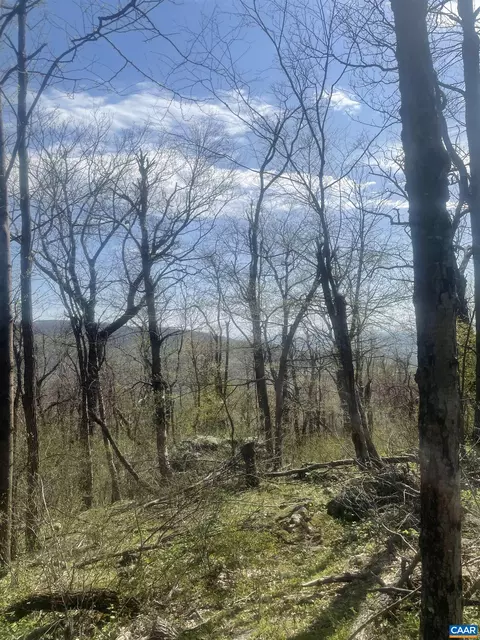lot17 Woods Gap Rd, Crozet, VA 22932