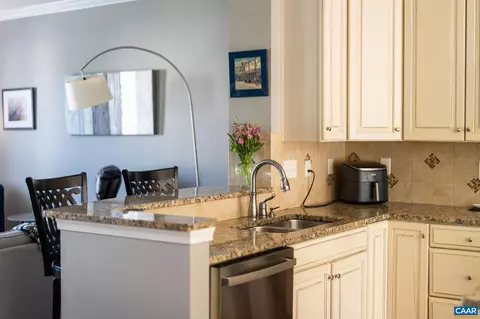 2014 Bethpage Ct, Charlottesville, VA 22901 photo 18