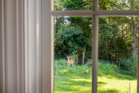 Other - 296 Otts Mill Rd, Raphine, VA 24472 photo 5 of 21