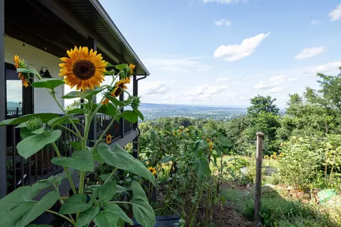 Exterior - 11180 Daphna Rd, Broadway, VA 22815 photo 14 of 14