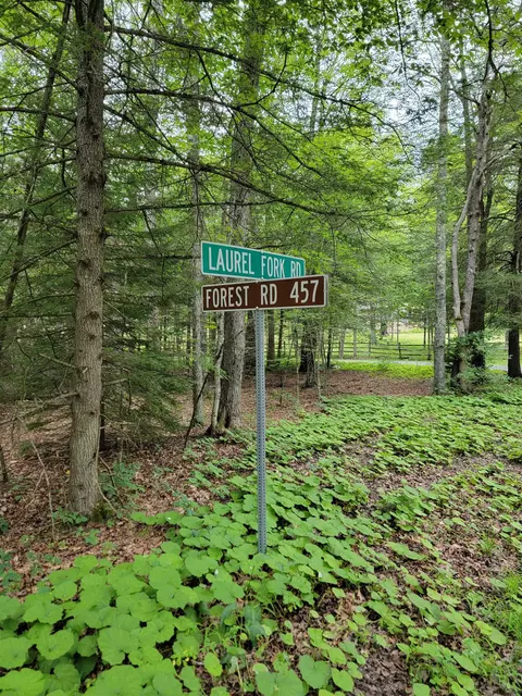 7382 Laurel Fork Rd, Blue Grass, VA 24413 photo 59