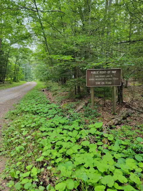 7382 Laurel Fork Rd, Blue Grass, VA 24413 photo 61