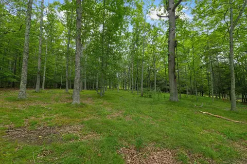 7382 Laurel Fork Rd, Blue Grass, VA 24413 photo 48