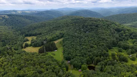 7382 Laurel Fork Rd, Blue Grass, VA 24413 photo 56