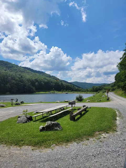 7382 Laurel Fork Rd, Blue Grass, VA 24413 photo 68