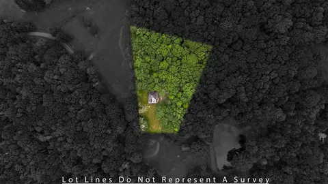 7382 Laurel Fork Rd, Blue Grass, VA 24413 photo 57
