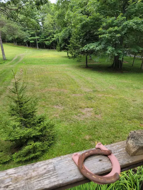 7382 Laurel Fork Rd, Blue Grass, VA 24413 photo 64