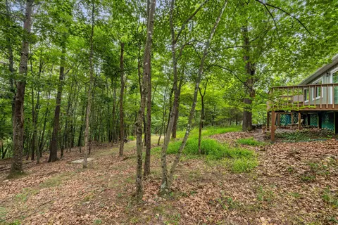 112 Judd Ln, Mount Jackson, VA 22842 photo 49