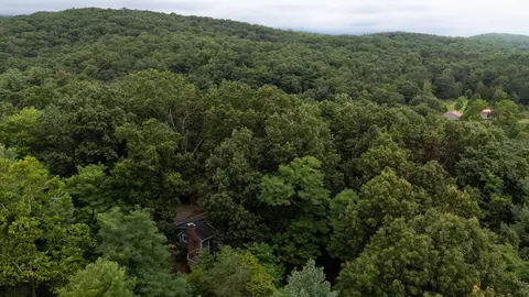 112 Judd Ln, Mount Jackson, VA 22842 photo 54