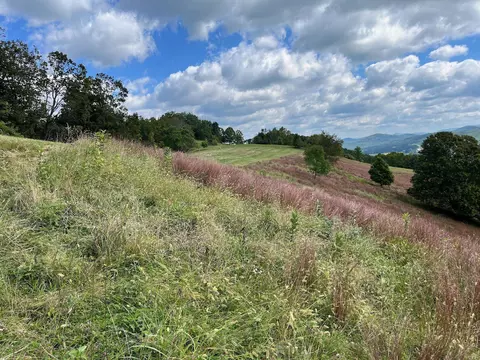 tbd Doe Hill Rd, Mcdowell, VA 24458 photo 37