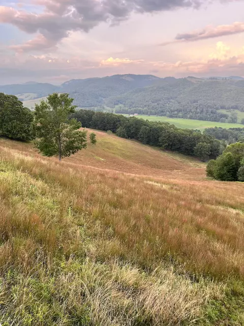 tbd Doe Hill Rd, Mcdowell, VA 24458 photo 57