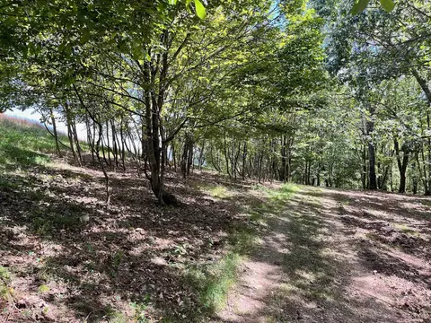 tbd Doe Hill Rd, Mcdowell, VA 24458 photo 51
