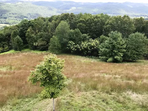 tbd Doe Hill Rd, Mcdowell, VA 24458 photo 32