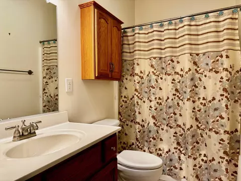 81 Roscoe Ln, Mount Sidney, VA 24467 photo 24