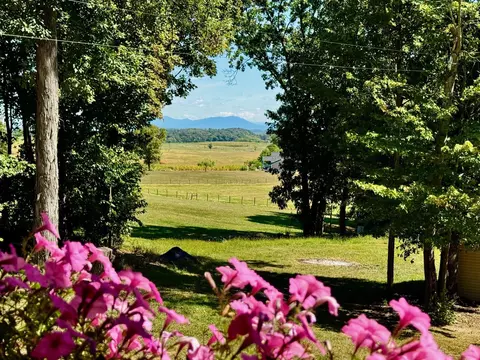 81 Roscoe Ln, Mount Sidney, VA 24467 photo 15