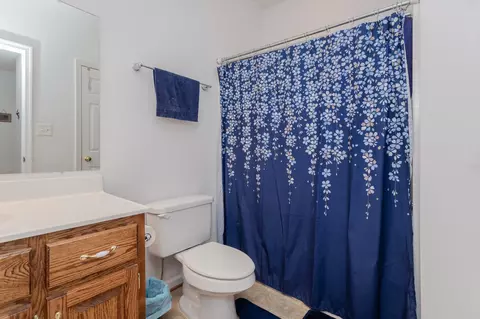 490 Leola Loop, Stanley, VA 22851 photo 21