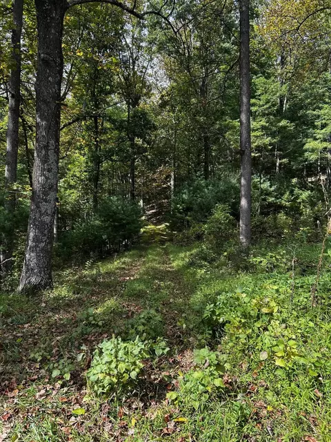 Rocky Branch Rd, Luray, VA 22835