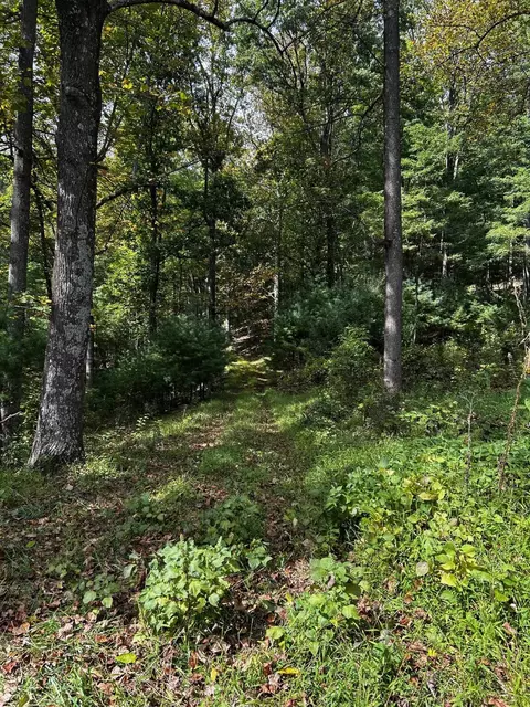 Rocky Branch Rd, Luray, VA 22835