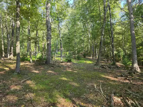 6535 Mill Creek Rd, Millboro, VA 24460