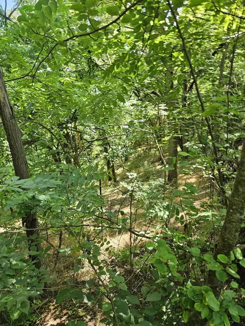 3 Acres Mossy Creek Rd, Mount Solon, VA 22843