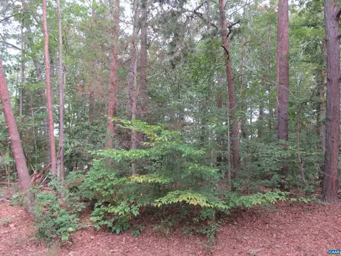 10 Englewood Dr, Palmyra, VA 22963