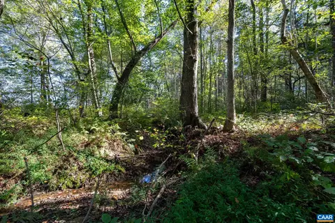 Orange Rd, Pratts, VA 22731 photo 6