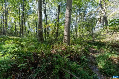Orange Rd, Pratts, VA 22731 photo 7