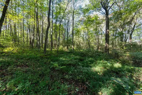 Orange Rd, Pratts, VA 22731 photo 8