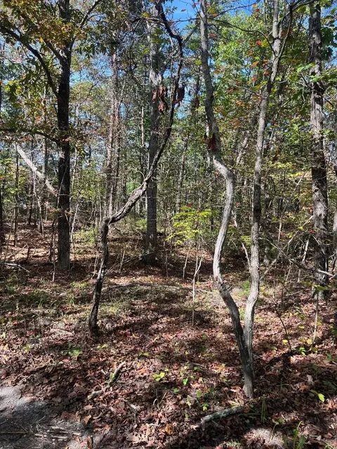 tbd Gerties Ln, Stuarts Draft, VA 24477